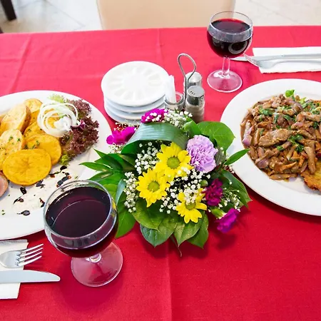 Hotel Mestsky Bobik Volary